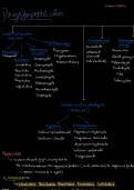 Pharmacology - Drugs for Peptic Ulcer