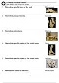 A AND P LAB PRACTICAL BONES EXAM QUESTIONS WITH CORRECT ANSWERS 100% 2024