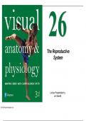 Anatomy and Physiology  Lecture Pearson 26 The Reproductive System