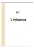 RVU The Respiratory System with Complete Solution / latest update 2024 | 2025