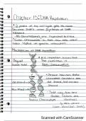 Need help with DNA replication? 