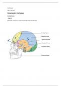 Class notes Human anatomy and physiology   Principles of Anatomy and Physiology 13E + WileyPlus 