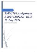 TMN3704 Assignment 3 2024 (200222)- DUE 10 July 2024