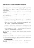 Derechos Fundamentales. Mercedes 3