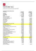 TESLA BALANCE SHEET