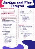 Surface and Flux Integral (WTW 258)