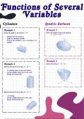 Functions of Several Variables (WTW 258)