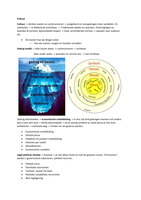 Research Toets - HMSM