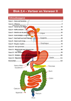Casuïstiek Blok 2.4 - Verteer en Verweer II