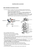 Respiratory anatomy 