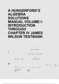 A HUNGERFORD’S ALGEBRA SOLUTIONS MANUAL VOLUME I: INTRODUCTION THROUGH CHAPTER IV JAMES WILSON TESTBANK