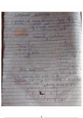 Class notes Biology, chemistry, physics   Class 11th NCERT Biology 