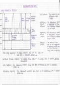 Mindmap - Lung Volumes