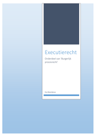 Samenvatting boek executierecht 