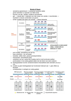 Genetica & Populatiegenetica Deel 2 - 2016