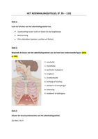 Vakstudie voeding-verzorging 4: wetenschappen: ademhalingsstelsel