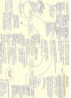 Theorieen Analyse en Ontwerp (Thompson, De Sitter, Mintzberg, Lean, QRM en casus)