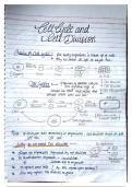 Cell cycle and cell division notes of Biology 