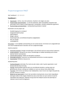 Integrale veiligheid samenvatting projectmanagement jaar 1