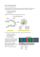 Protein Structural Elements