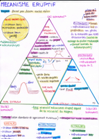 Mécanisme éruptif (mind map)