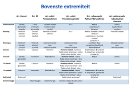 Leerpakket 12 - Overzichtelijk schema DAM