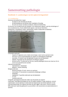 Samenvatting pathologie blok 2.1