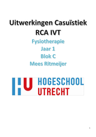 Uitwerkingen casussen RCA IVT Blok C