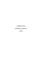 Economie samenvatting Module 6 t/m 8 