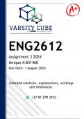 ENG2612 Assignment 3 (DETAILED ANSWERS) 2024 - DISTINCTION GUARANTEED