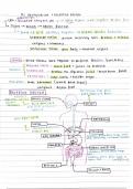 DIGESTIVE SYSTEM NOTES (with diagram of parts)