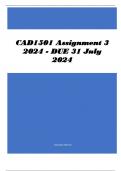 CAD1501 Assignment 3 2024 - DUE 31 July 2024