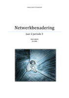 netwerkbenadering