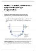 U-Net Convolutional Networks for Biomedical Image 