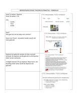 Beroepsspecifieke theorie en praktijk 2 - Rimaux