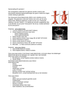 MBRT Jaar 1 Echografie Alle Periodes