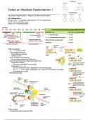 Cellen en Weefsels beide deeltentamens