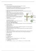 Lecture notes for Plant Physiology 