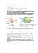 Lecture notes for Brain and Behavior 