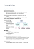 Summary: Neuropsychology