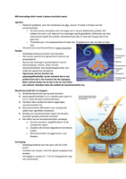 Hoorcollege blok 4, week 3: Brachialis laesie 