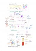 COMPONENTS OF THE BLOOD - RBC, WBC, PLATELETS