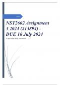 NST2602 Assignment 3 2024 (213894) - DUE 16 July 2024