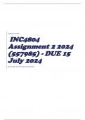 INC4804 Assignment 2 2024 (557985) - DUE 15 July 2024