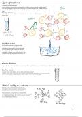 Complete notes on AP Biology Unit 1, Chemistry of Life