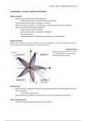 Invertebrates Lecture 1 notes - Porifera and Cnidaria