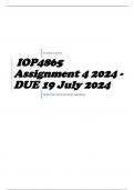 IOP4865 Assignment 4 2024 - DUE 19 July 2024