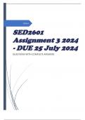 SED2601 Assignment 3 2024 - DUE 25 July 2024