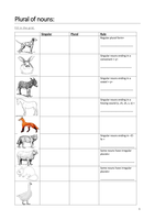 Worksheet plural of nouns 