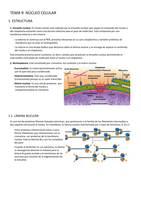 Apuntes "Biología celular" (Primer curso)